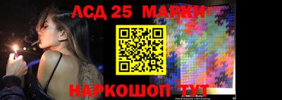 apvp Нальчик