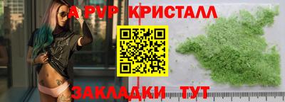 apvp Нальчик