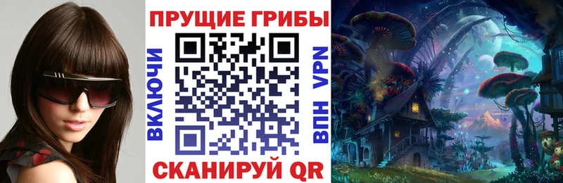 Псилоцибиновые грибы GOLDEN TEACHER Сегежа