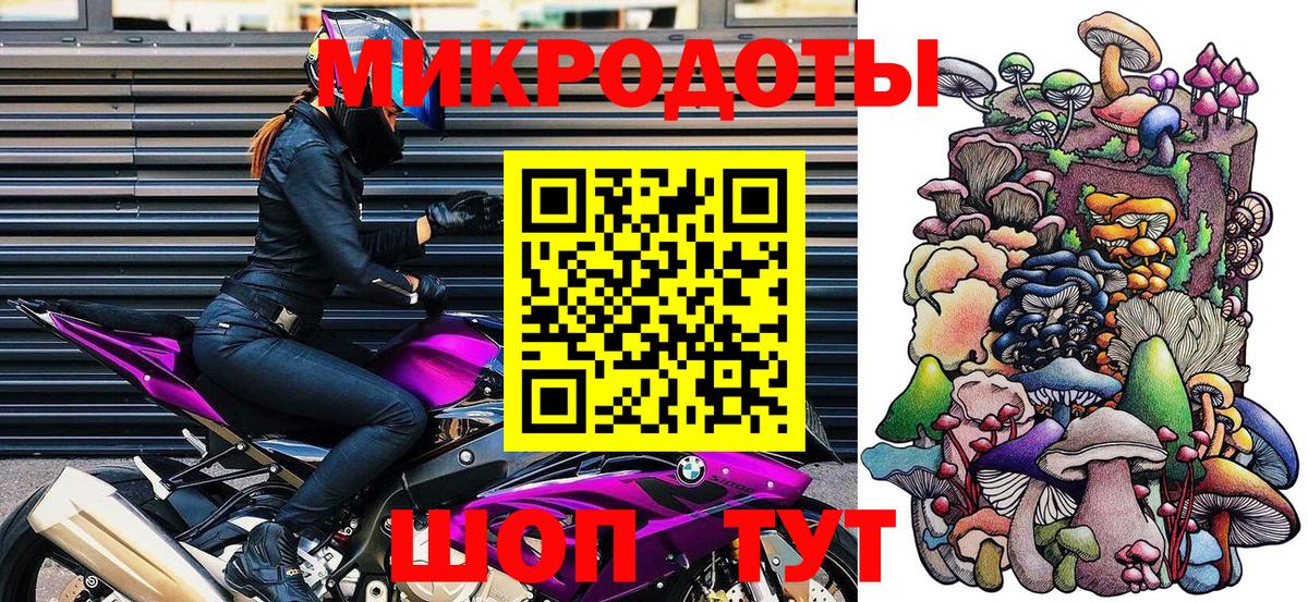 Галлюциногенные грибы Psilocybine cubensis  Вход с VPN  Сегежа 