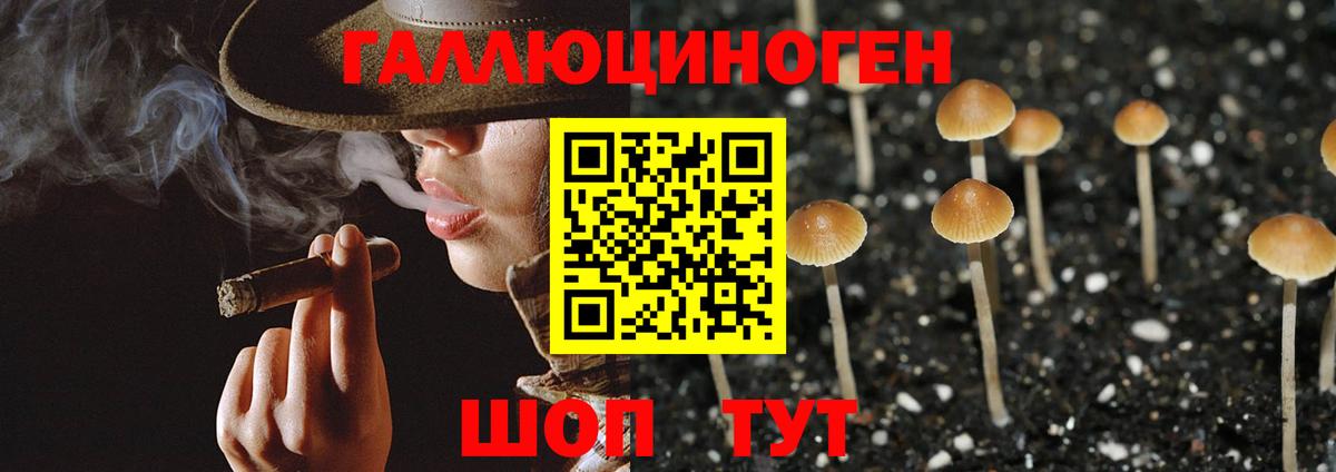 Галлюциногенные грибы мухоморы Сегежа