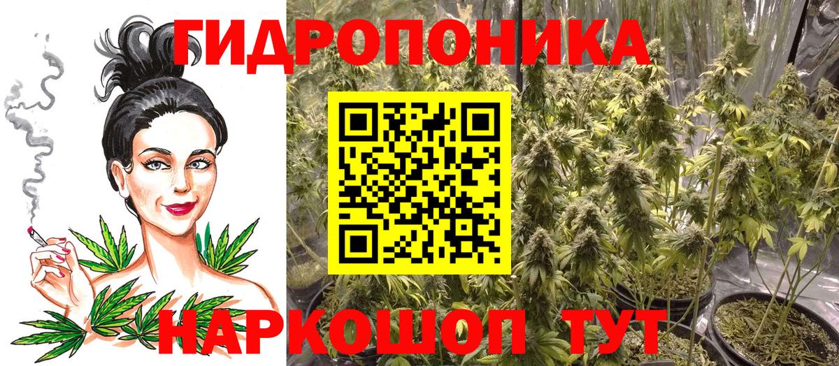 Каннабис Amnesia Сегежа